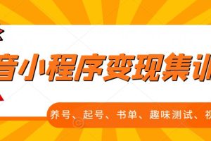 新手村抖音小程序变现集训课，养号、起号、书单、趣味测试、视频剪辑，全套流程