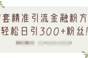 1套精准引流金融粉方法，轻松日引300+粉丝【视频课程】
