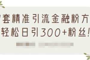 1套精准引流金融粉方法，轻松日引300+粉丝【视频课程】