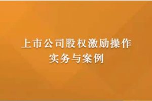 上市公司股权激励操作实务与案例