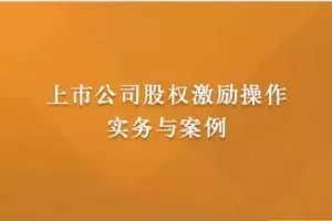 上市公司股权激励操作实务与案例