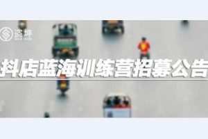盗坤·抖店蓝海训练营