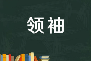 【任一飞】我的龙头战法 4PDF