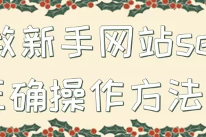 教新手网站seo正确操作方法