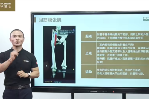 毕博士 《一张床搞定全身拉伸》