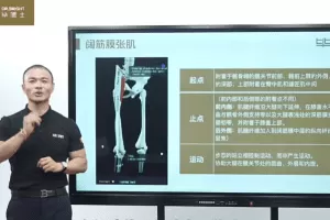 毕博士 《一张床搞定全身拉伸》