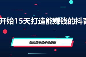 从0开始15天打造能赚钱的抖音号（抖音账号定位）