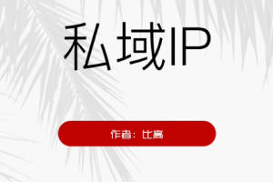 比高·私域IP引流变现