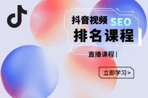 森淼·抖音SEO排名引流变现，教你如何布局抖音SEO获取更多免费流量