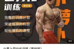 小萝卜四分化训练（基础版）