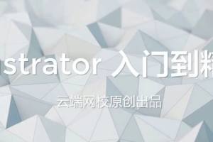 云端网校-AI illustrator入门到精通教程视频