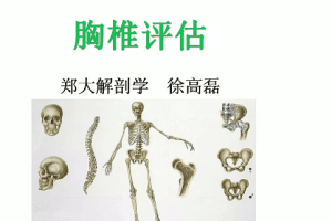 郑大解剖学人体姿势评估与解剖学分析（进阶）徐高磊