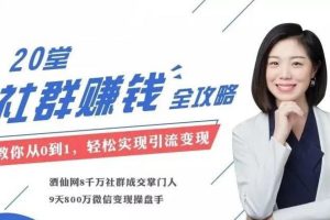 麦子老师20节社群大课，零基础学社群运营