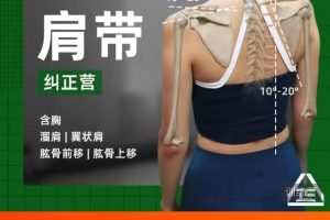根正派肩胛矫正新款课程