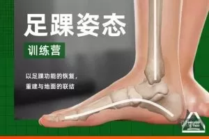 足踝姿态训练营2021年最新课程（根正派）