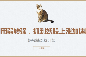 控盘猫短线基础特训营，控盘猫翻倍计划