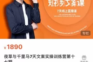 夜草与千里马7天文案实操训练营第十七期