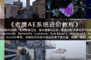 老鹰AE系统进阶教程2021年【画质高清有素材】