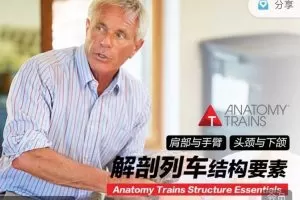 解剖列车肩部与手臂、头颈下颌