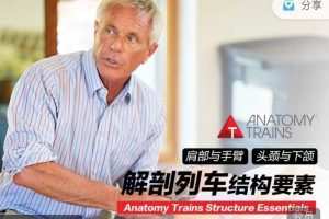 解剖列车肩部与手臂、头颈下颌