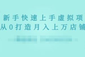 2022年虚拟项目实战指南，新手从0打造月入上万店铺【视频课程】