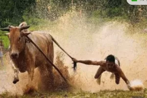 股哥训练营 只会炒股第16期