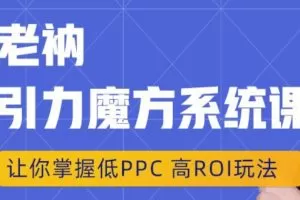 老衲·引力魔方系统课，让你掌握低PPC高ROI玩法，价值299元