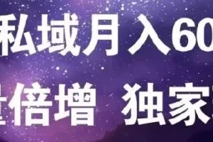 原力网赚粉月入6万私域流量倍增独家单