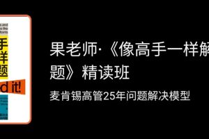 果老师《像高手一样解决问题》精读班