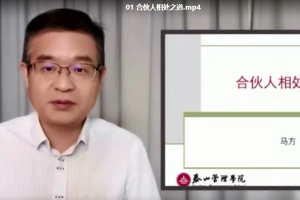 马方《合伙人模式》