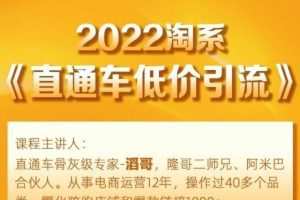 电商掌柜茂隆滔哥主讲2022淘系直通车低价引流