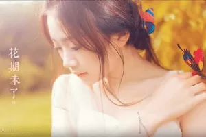 钟百迪循序渐进中级班摄影课堂