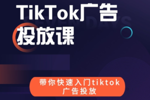 跨境B哥tiktok广告投放课价值1680元