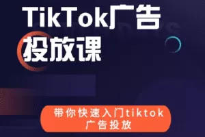 跨境B哥tiktok广告投放课价值1680元