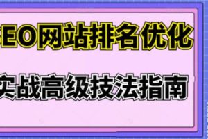 樊天华·SEO网站排名优化实战高级技法指南