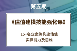 估值建模技能强化课《第五期》