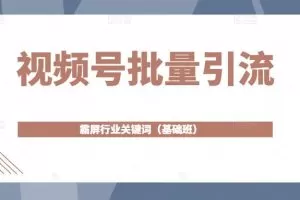 视频号批量引流，霸屏行业关键词（基础班）全面系统讲解视频号玩法