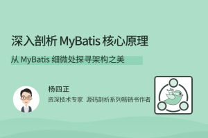 深入剖析 MyBatis 核心原理，从 MyBatis 细微处探寻架构之美