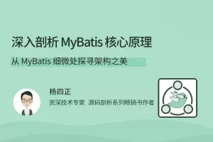 深入剖析 MyBatis 核心原理，从 MyBatis 细微处探寻架构之美
