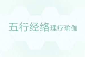 【养生理疗】五行经络瑜伽教学 共6节