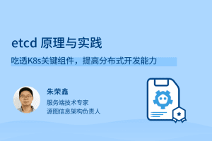 etcd 原理与实践，吃透K8s关键组件，提高分布式开发能力