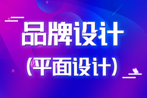 商业品牌设计实战平面设计2020