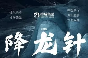 降龙针法培训班