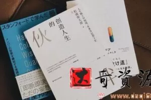 创业书籍推荐《创造人生的伙伴》