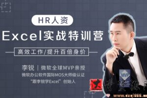 HR人资Excel实战特训营 快速提升百倍身价