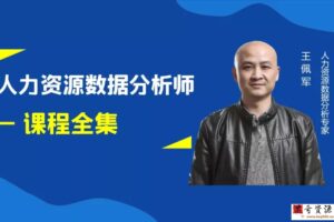 王佩军人力资源数据分析系列 – 课程全集