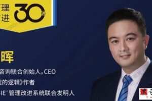 改进咨询-丁晖《管理改进30讲》