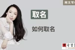 算爱研习社匪我思存教你写网文，足不出户轻松做钱（3节）