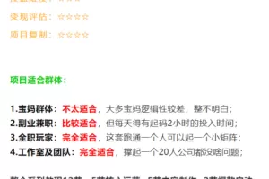 比高养活11人团队压箱底中视频项目