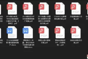 申晨营销模式全套课程【完结】